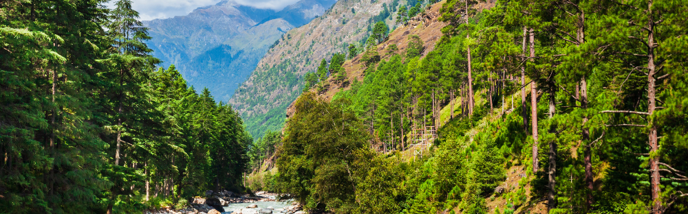 Scenic Place