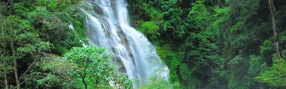Scenic Place