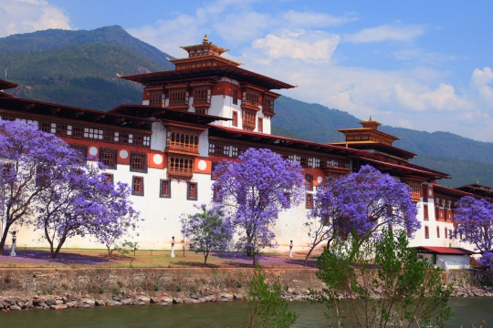 Punakha Dzong