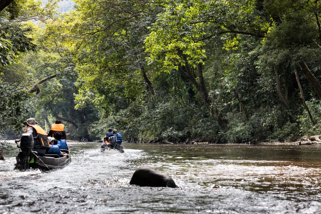 Taman Negara