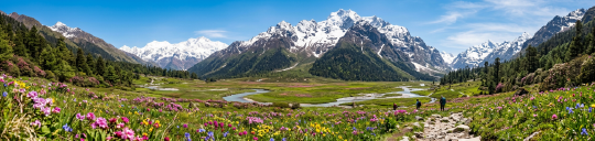 Yumthang Valley