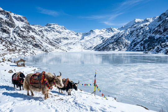 Tsomgo Lake (Sikkim)