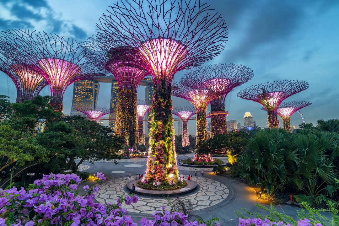 Singapore Honeymoon Tour Package 5 Nights 6 Days